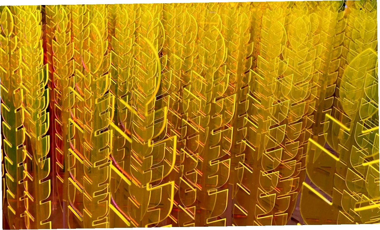 Multiplikation